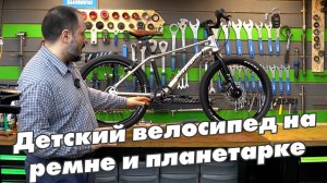 Ремень и планетарка на детском велосипеде Maxiscoo 7Bike 20»