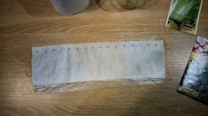 Рассада без земли в улитках