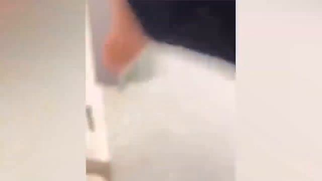 СМЕШНЫЕ КОШКИ И ДРУГИЕ ЖИВОТНЫЕ 2021!!!#7 смотреть онлайн