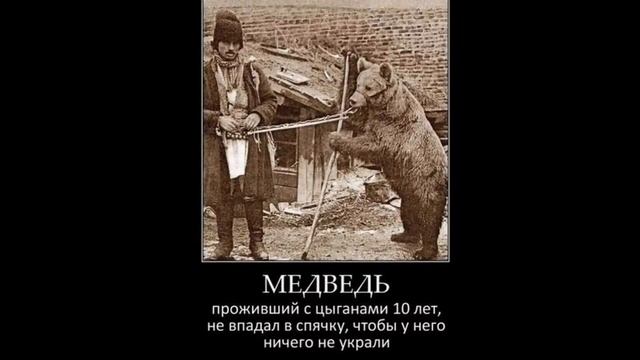 Фото приколы смотреть онлайн