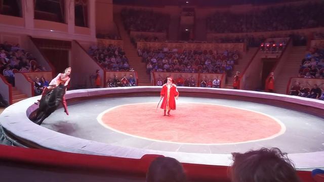 Цирк на Фонтанке: конный номер 29/03/19 смотреть онлайн