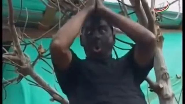 Узбекча прикол смотреть онлайн