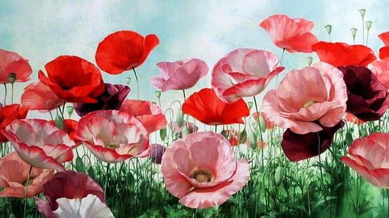 Мир цветов художника Игоря Левашова смотреть онлайн