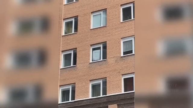ПРИКОЛЫ 2021 Январь #128 ржака до слез угар прикол ПРИКОЛЮХА смотреть онлайн