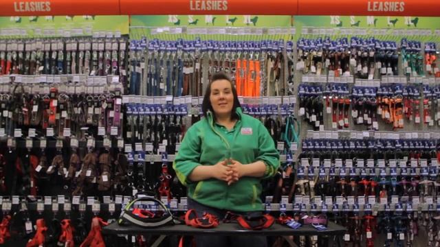 Choosing A Harness For Your Dog - Maxi Zoo Ireland