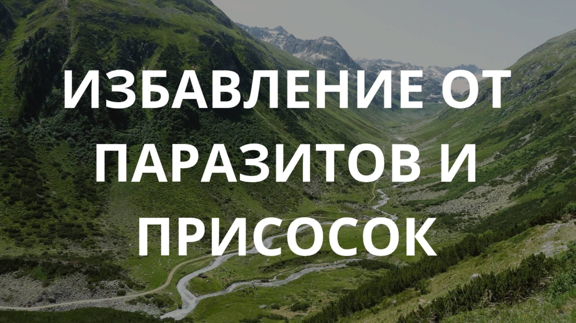 Избавление от паразитов и присосок смотреть онлайн