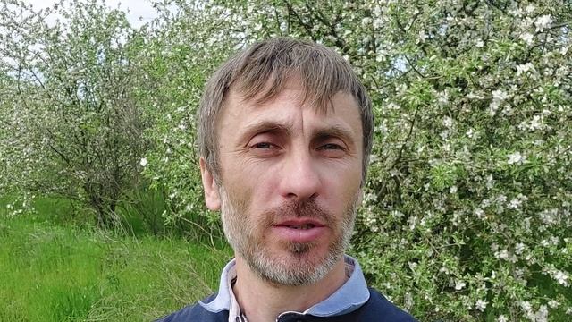 Видеоприветствие