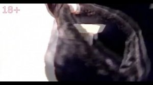 Приколы про алкашей. Элитные войска с коварной водой