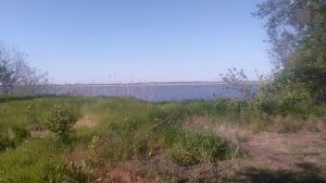 VID_20250428_161336.mp4