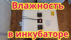 Какую я,держу влажность в инкубаторе ,при выведении цыплят.