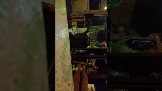 Прятки с котом.Прикол!!!!! смотреть онлайн