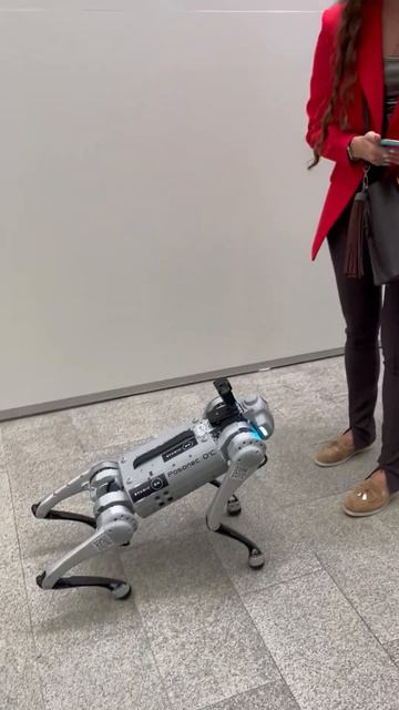 АРХ МОСКВА 2023… и собачка смотреть онлайн