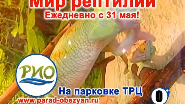 Мир рептилий 10) смотреть онлайн