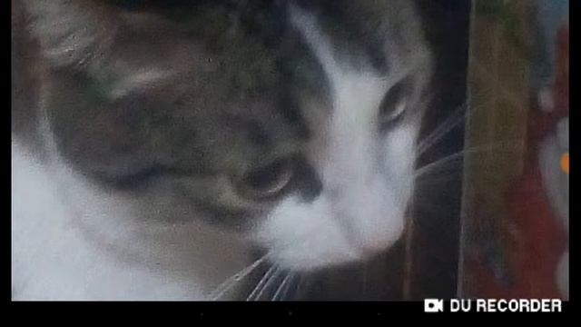 Прикол песня "Надо поле притоптать"Не судите за качество СОРРИ. смотреть онлайн