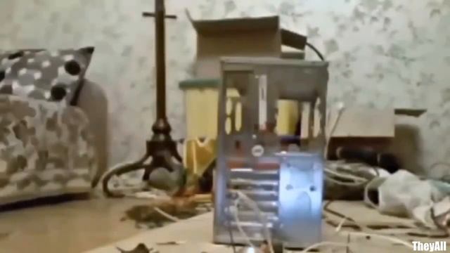 НОВЫЕ ЛУЧШИЕ ПРИКОЛЫ 2017. ПРИКОЛЫ С ЖИВОТНЫМИ#2 смотреть онлайн