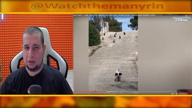 Манурин смотрит академию смеха. - Manyrin приколы. #manyrin