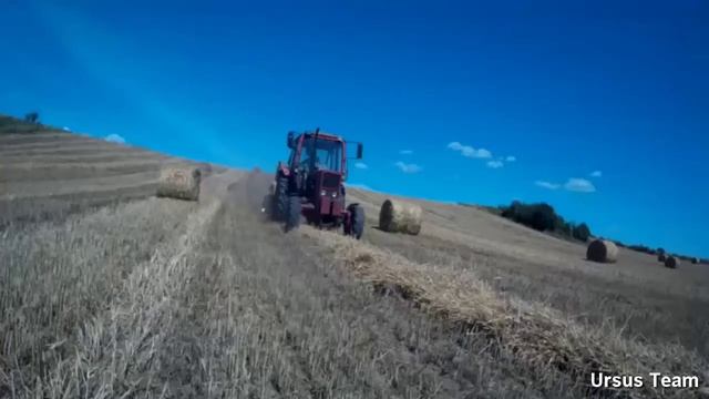 Żniwa 2017 | Ursus 912, Bizon, MF 255, MTZ 82 смотреть онлайн
