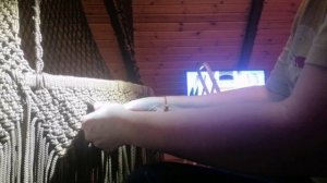 Плетем кресло-шатер! Последний №10 урок! Макраме! Мастер-класс!