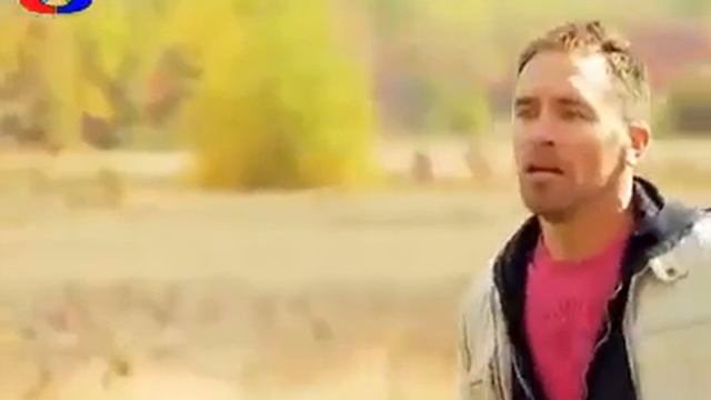 Приколы(23) смотреть онлайн