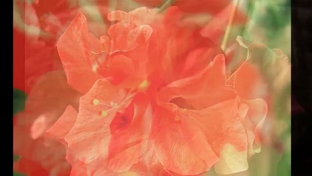 Мой мир - Мир MaxShane 1080p.mp4 смотреть онлайн