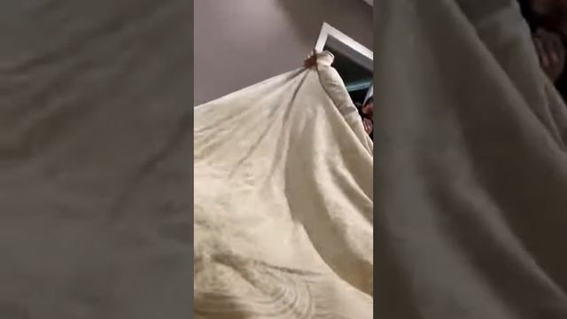 Когда друг пердун 🤣 #приколы #shorts смотреть онлайн