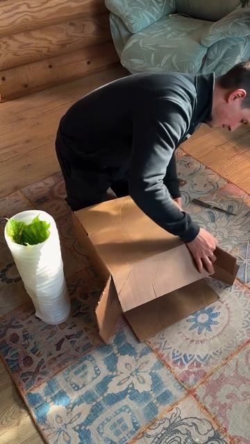 Как увеличить коробку смотреть онлайн