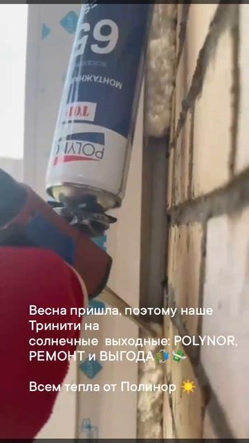Монтажная Пена Polynor