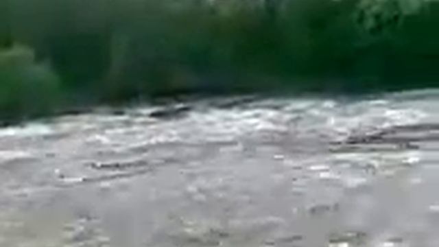 13062012 смотреть онлайн