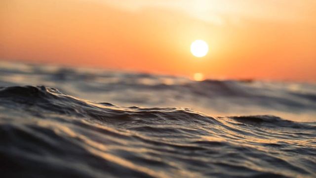 Tina Turner - I don't wanna lose you смотреть онлайн