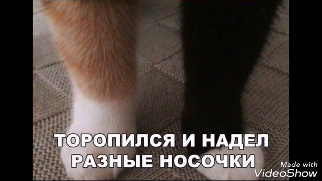 10 приколов с приложения ВЖУХ|часть 3||LEMON_MIX| смотреть онлайн