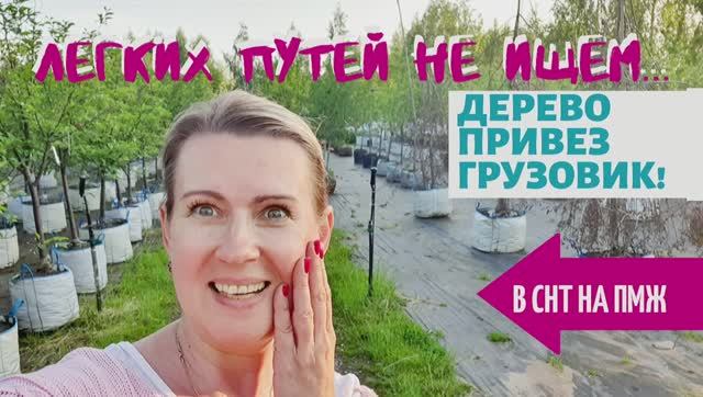 СТАРАЯ ДАЧА | Черешня ИПУТЬ в Подмосковье | Не ищем легких путей! №26 смотреть онлайн