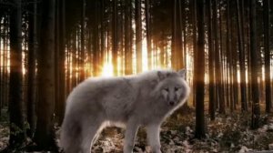 Клип меня зовут Акелла(ананас)