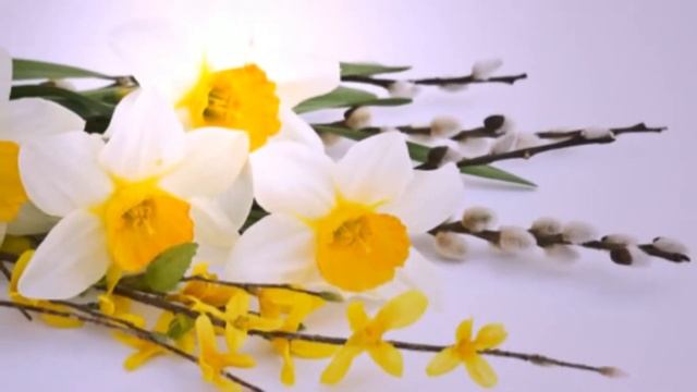 Новейшие поздравления с днем рождения смотреть онлайн