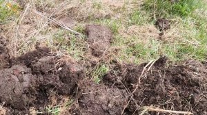 Шурф Фундамента  Старое урочище