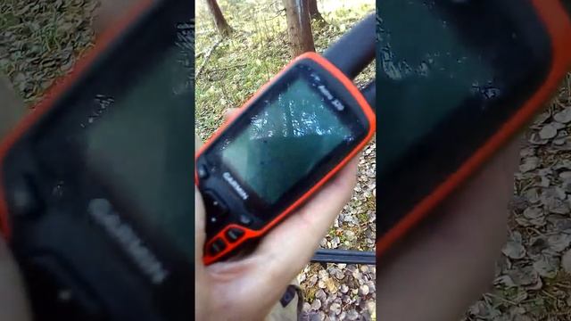 В гостях на Тверских угодьях у Зернова Сани смотреть онлайн