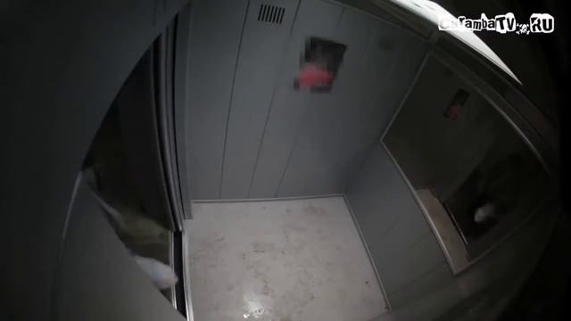 100500 Денчик смотреть онлайн