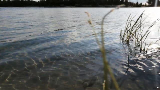 Поход на карьер (02.08.2024) смотреть онлайн