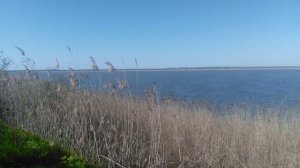 VID_20250428_161440.mp4