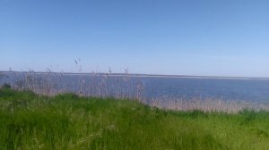 VID_20250428_161707.mp4