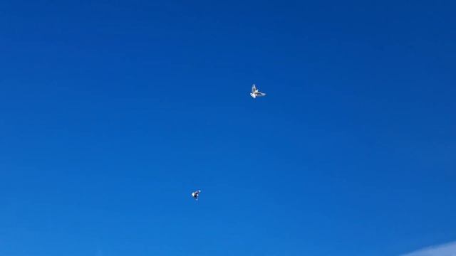 30 июля 2022 г. смотреть онлайн