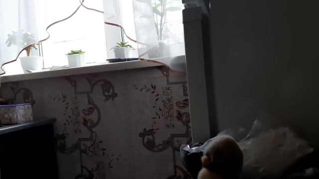 ВЛОГ -22 ( ФЕВРАЛЬ)❤ БЕЛАРУСЬ 2024 🌷 смотреть онлайн