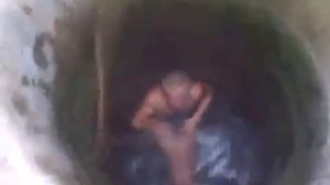 Дай ведра 2  Прикол