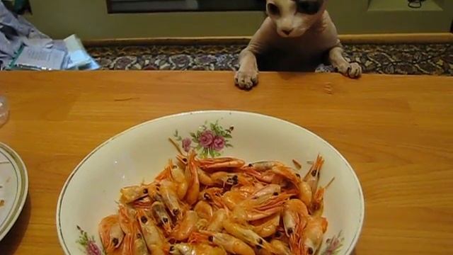 Воришка креветок смотреть онлайн