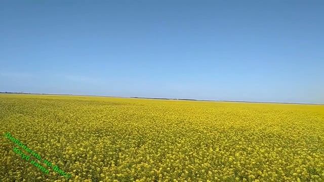 Пророчества и откровения. Антихрист уже в России