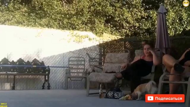 ЛУЧШИЕ НЕУДАЧИ НЕДЕЛИ 6 ИЮНЯ 2017 _ SMILE SMOKE. СУПЕР ПРИКОЛЫ #110 смотреть онлайн