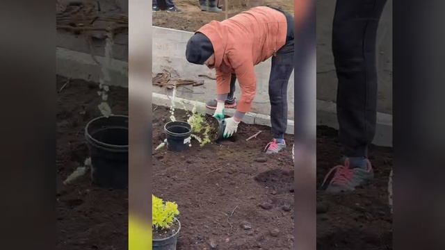 Зелёная Башкирия