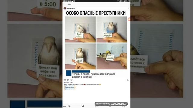 Зимний флекс уже скоро|Лютые приколы смотреть онлайн