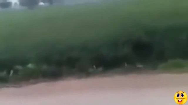 Best funny video Пьяные Лучшие Прикольные Видео Смешное Видео 2015 720p смотреть онлайн