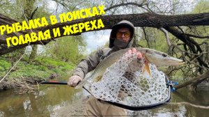🎣 Рыбалка на спиннинг в конце апреля | В поисках голавля и жереха