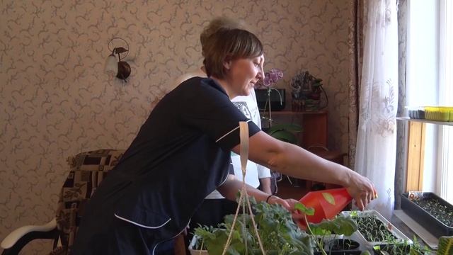 Социальные работники